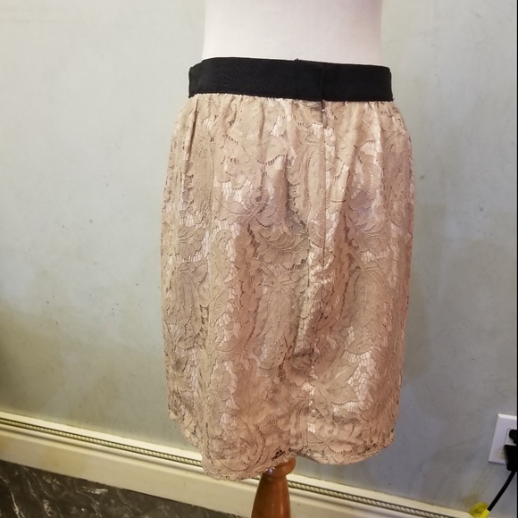 LOFT Ann Taylor lace mini skirt (L24) - Picture 6 of 6